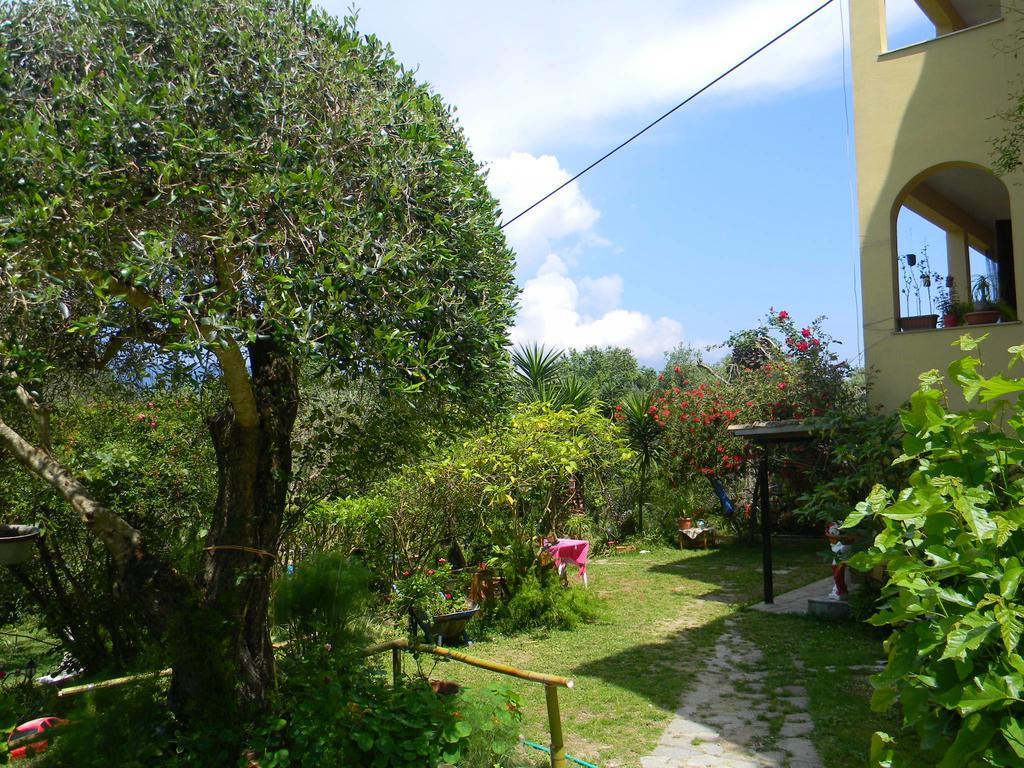 Villa Efterpi Kontokali Dış mekan fotoğraf