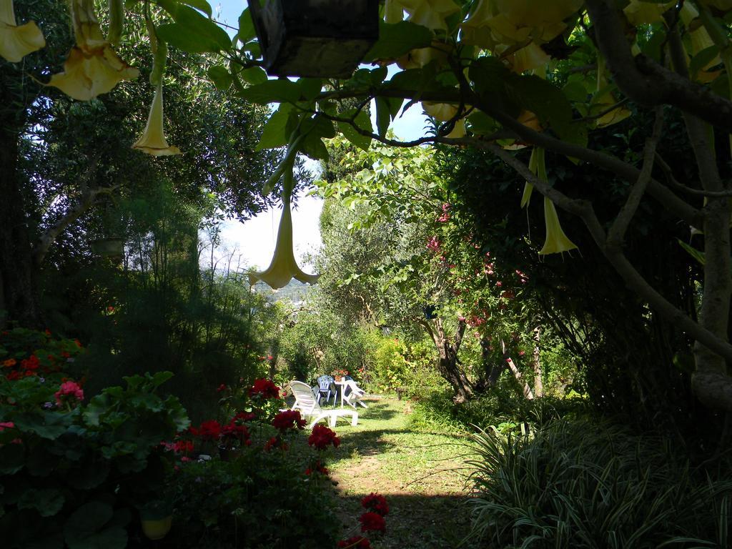 Villa Efterpi Kontokali Dış mekan fotoğraf