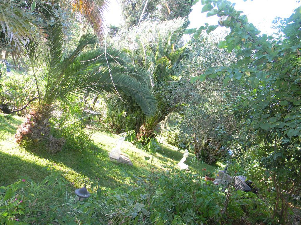 Villa Efterpi Kontokali Dış mekan fotoğraf