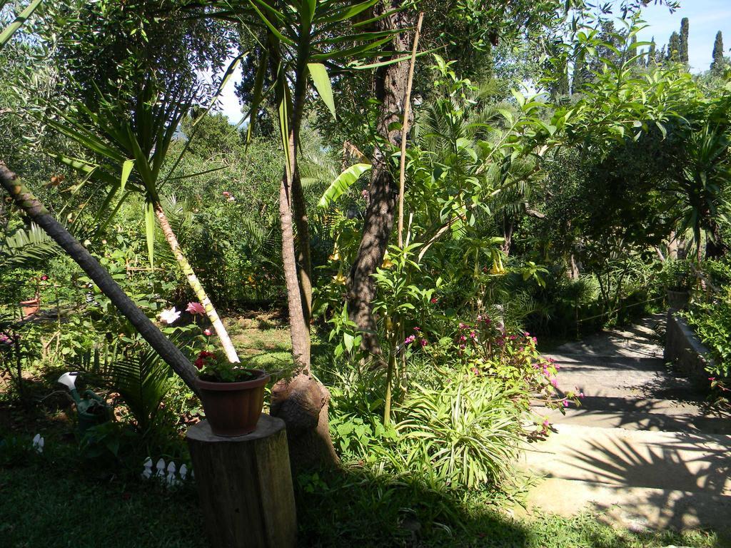 Villa Efterpi Kontokali Dış mekan fotoğraf